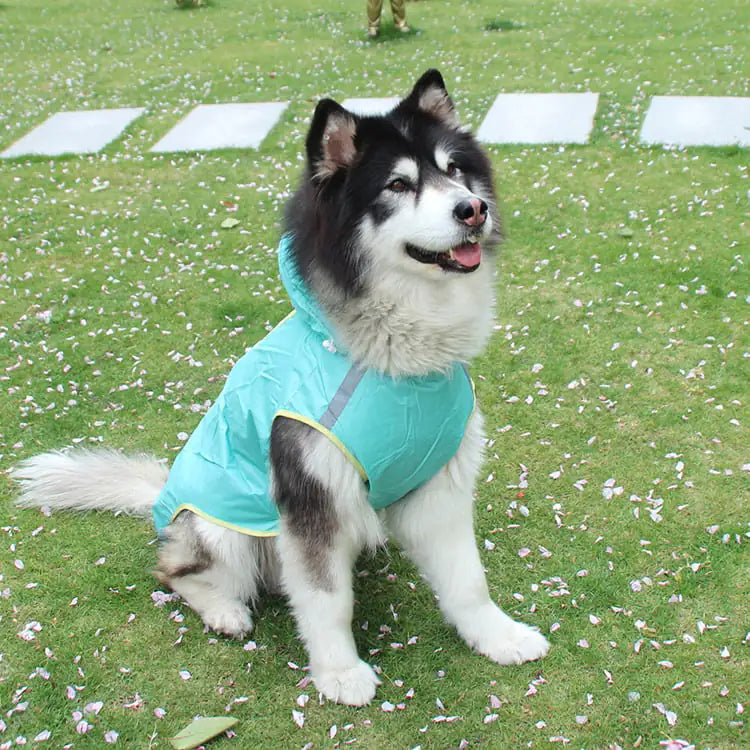 Large Breed Reflective Raincoat