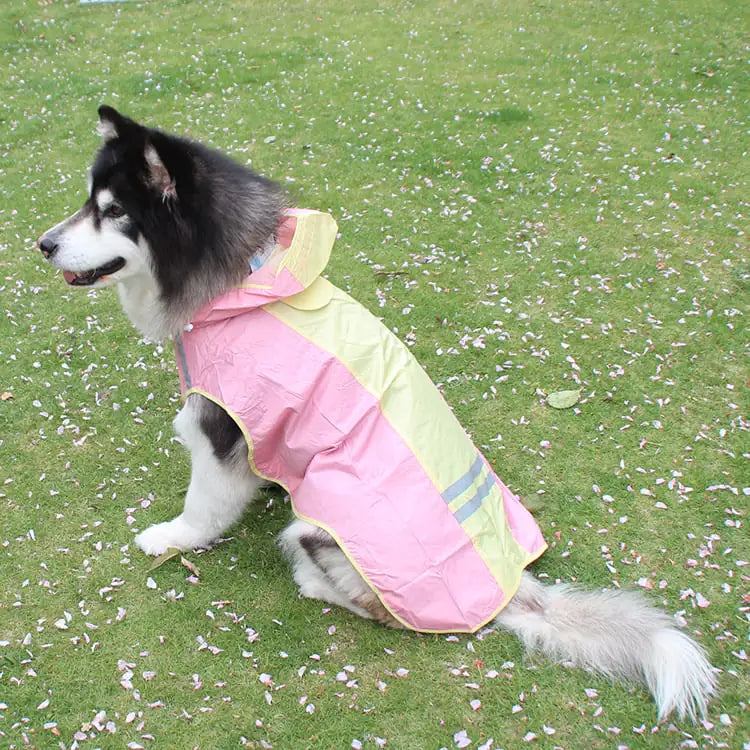 Large Breed Reflective Raincoat