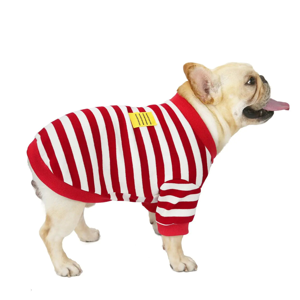 Striped Sweater for Dogs - Fall/Winter Coat
