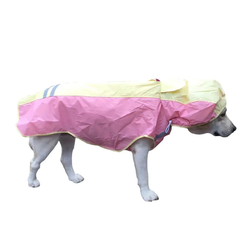 Large Breed Reflective Raincoat