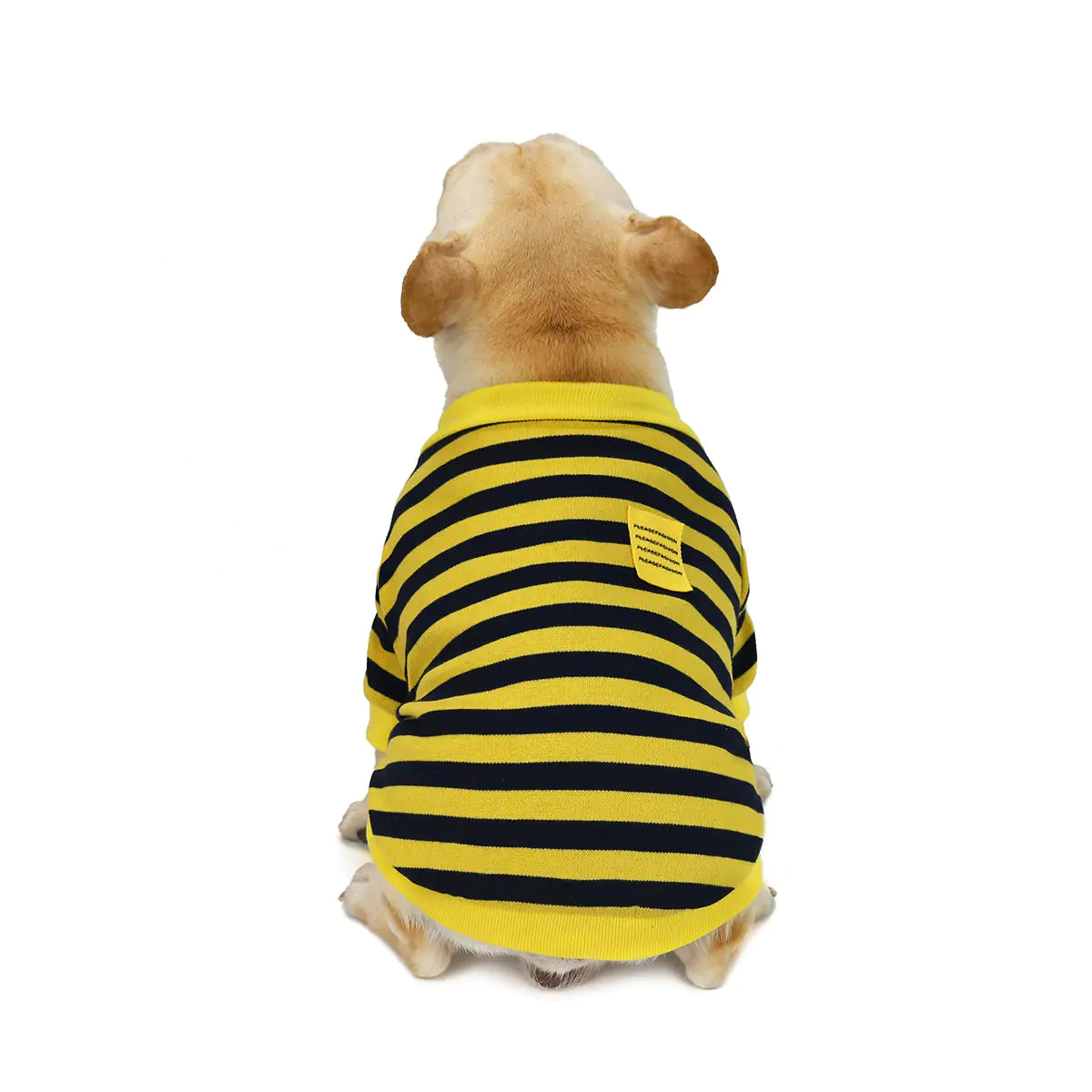 Striped Sweater for Dogs - Fall/Winter Coat