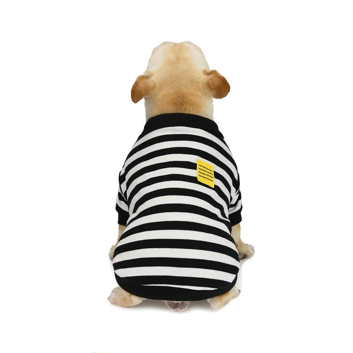 Striped Sweater for Dogs - Fall/Winter Coat
